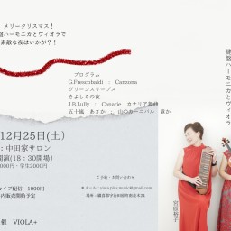 クリスマスの夜に