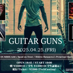 4/25 GUITAR GUNS