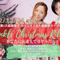 Twinkle Christmas Ribbon