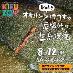 KIFUZOO「オオサンショウウオの危機的な生息環境」