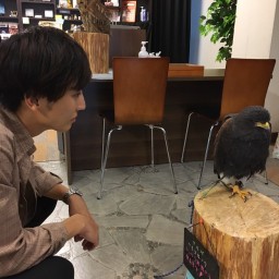 くっさん家